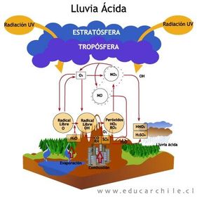 Repercusiones Ambientales