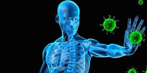 Immunity and immunisation