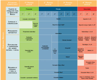 Trayecto formativo-Mapa curricular