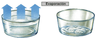 EVAPORACIÓN