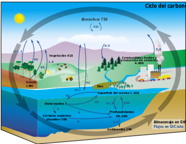 Oceáno como almacén de dióxido de carbono
