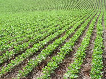 Agricultura y ganaderia