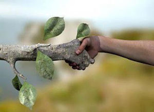 - CUIDADO DE LA NATURALEZA -