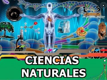- Programa de Estudios (Ciencias Naturales) -