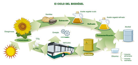 Biodiesel