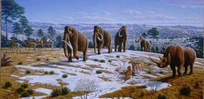 Las glaciaciones sobre las tundras