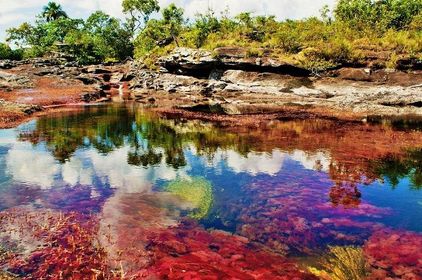 CAÑO CRISTAL