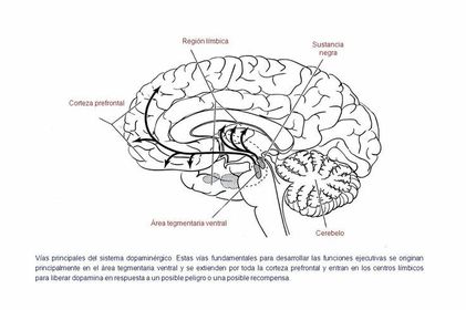 Sistema Dopaminérgico