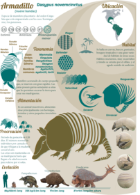 ejemplos de infografías