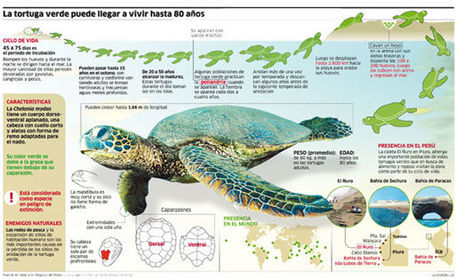 ejemplos de infografías