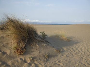3 - ELS ECOSISTEMES: LES DUNES