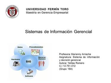 Sistemas de información gerencial