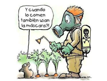 Paso 4: Reestructurar el problema