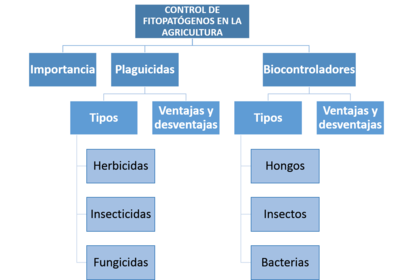Paso 5: Formular objetivos de aprendizaje