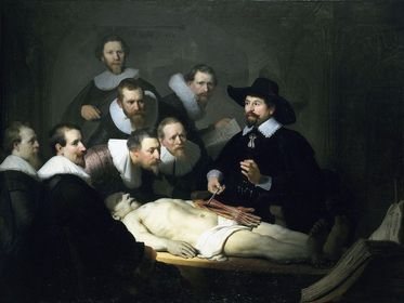 El formol en la práctica de Anatomía Humana