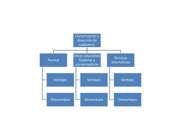 Fase 5. Objetivo del aprendizaje