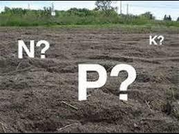 1. Clarificar el problema