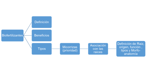 5. Formular los objetivos de aprendizaje