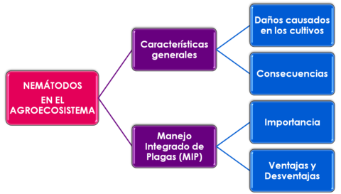 Paso Nº 5: Formular los objetivos de aprendizaje
