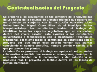Planificación Mediante Proyecto