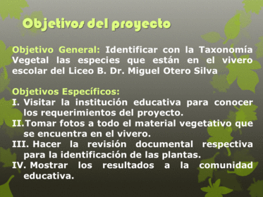 Planificción Mediante Proyectos