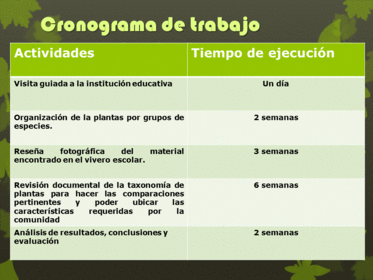 Planificación Mediante Proyectos