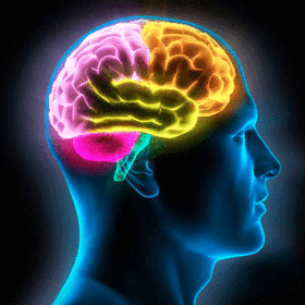 DESARROLLO DEL PENSAMIENTO