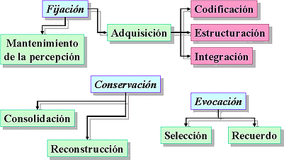 El proceso de adquisición : modos y efectos en el aprendizaje