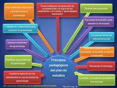 PRINCIPIOS PEDAGOGICOS P Y PROG 2011