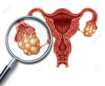 Aparato reproductor femenino