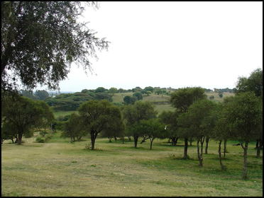 Llanura Chaqueña