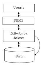 COMPONENTES DE LA BASE DE DATOS