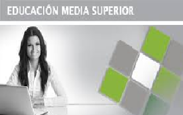 Capítulo II