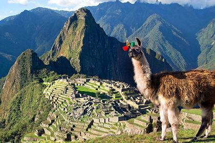 Machu Picchu