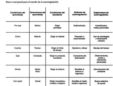 Subprocesos de Autorregulación