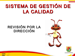 Presentación de informes que permitan evaluar el desempeño de un proceso