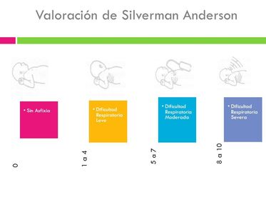 VALORACIÓN DE LA VITALIDAD.