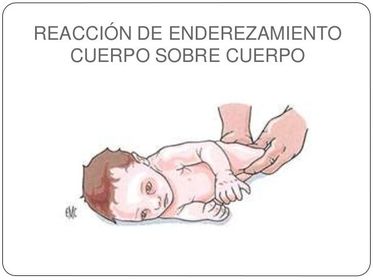 AUTOMATISMO Y ENDEREZAMIENTO