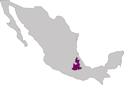 CONSTITUCIÓN POLÍTICA DE PUEBLA