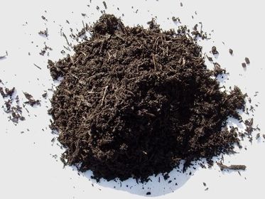 Tierra Negra