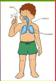 SYSTEMS AND ORGANS