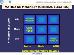 Matriz de vulnerabilidad McKinsey-GE