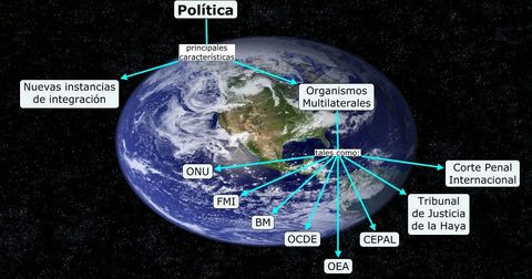 TIPOS DE ORGANISMOS
