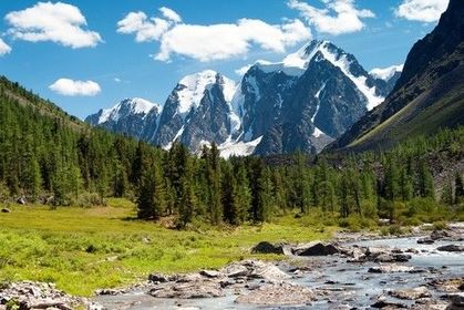 Floresta de Coníferas (Taiga)