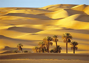 Deserto