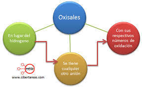 Oxisales