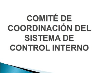 ley 87 de 1993