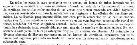 Proceso De Capas Osteogenas Hasta Formar la Sustancia Osea