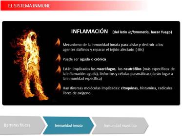 Presentación Wobenzym