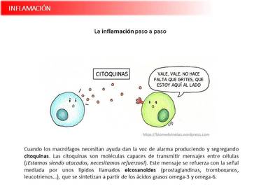 Presentación Wobenzym